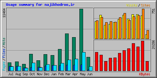 Usage summary for najikhodroo.ir